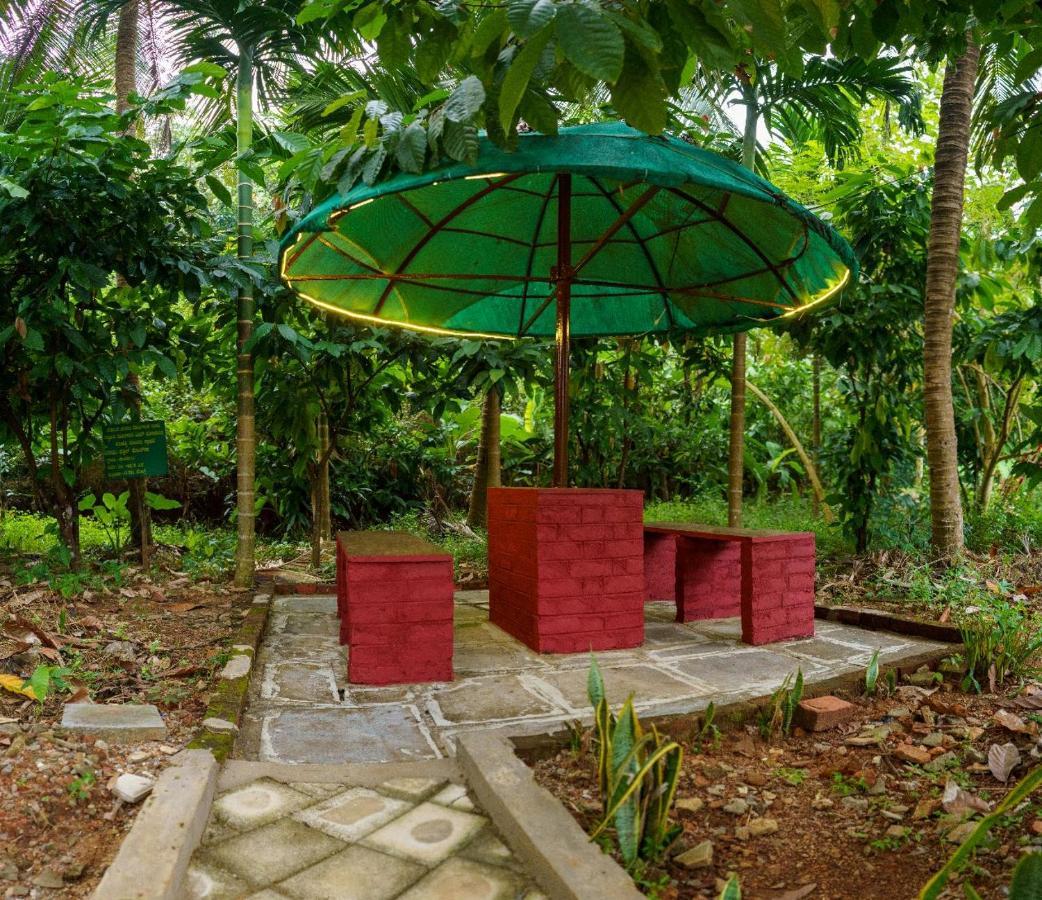 Jasmine Land Homestay Udupi Exteriör bild