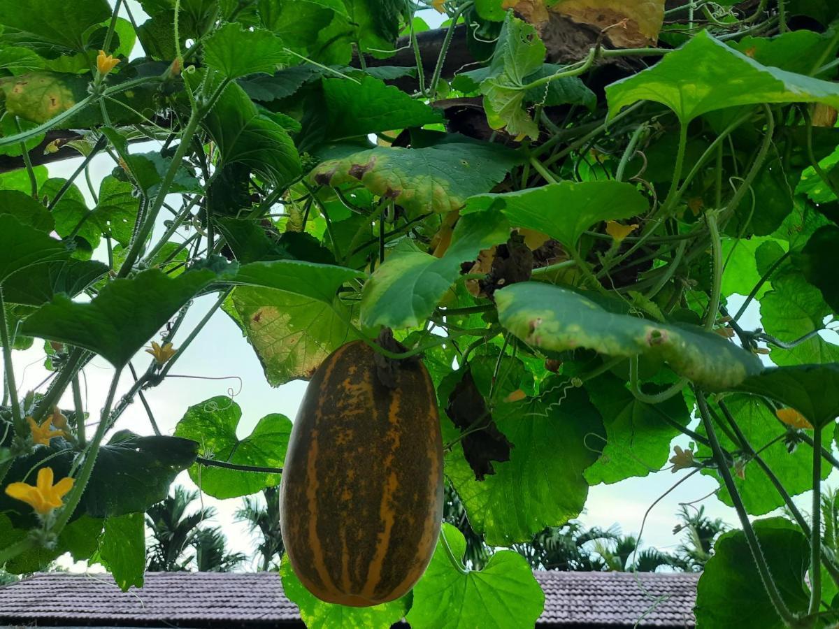 Jasmine Land Homestay Udupi Exteriör bild